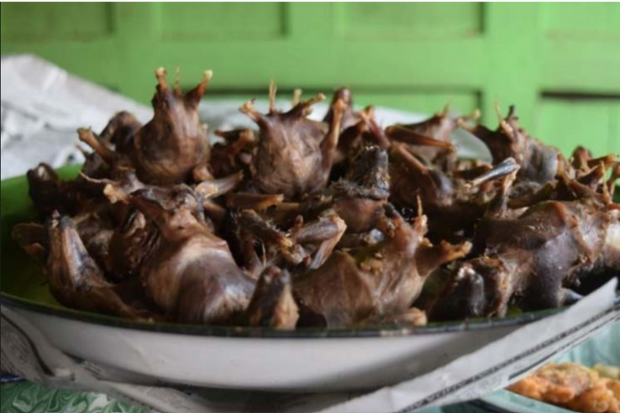 Rasanya Kelelawar goreng Gimana Sih?