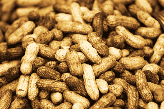 Cara Memulai Bisnis Kacang Rebus dari Nol Cara Memulai Bisnis Kacang Rebus dari Nol