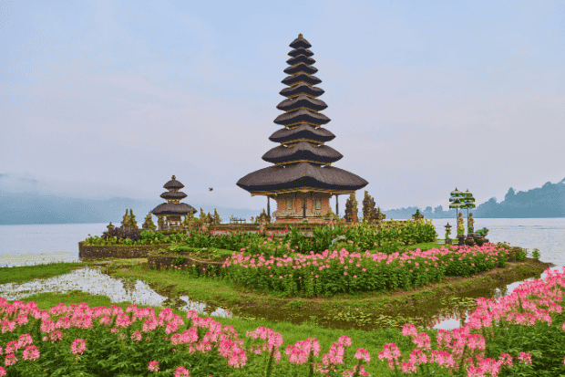 Menyusuri Alam Bali yang Tenang dan Menyegarkan Menyusuri Alam Bali yang Tenang dan Menyegarkan