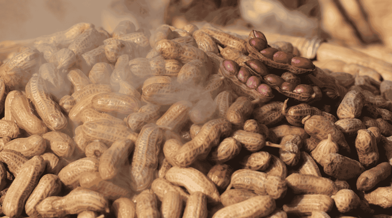 Peluang Bisnis Jualan Kacang Rebus yang Gampang Tapi Cuan