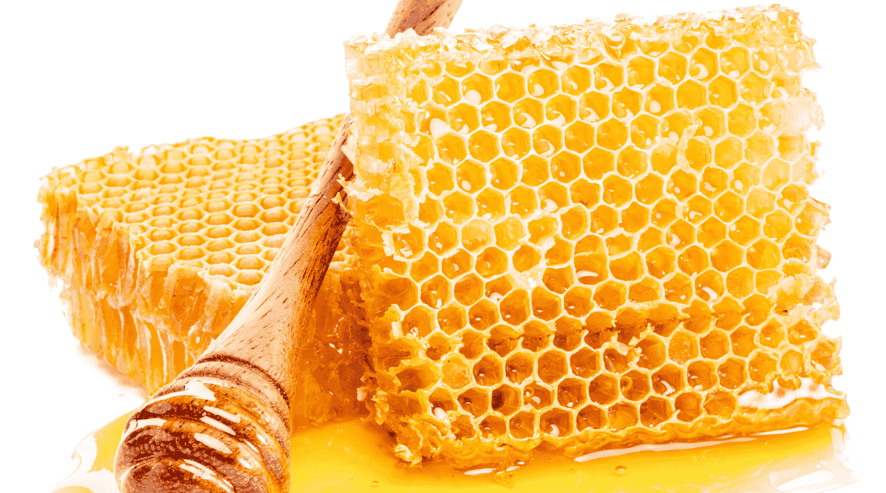 Bisnis Madu Alami yang Menjanjikan