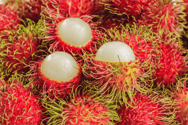 Strategi Mengembangkan Bisnis Rambutan