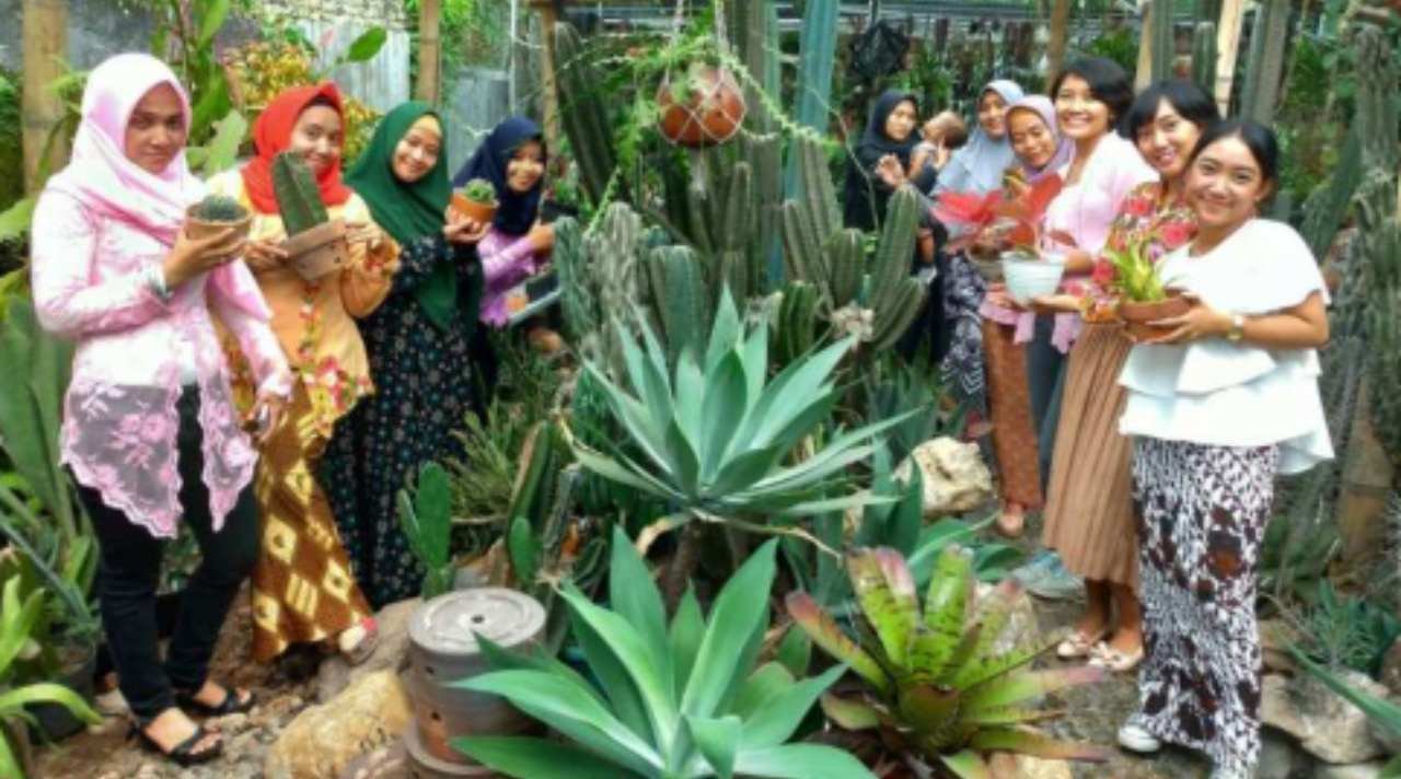 Tanaman Hias Populer yang Cocok Menghiasi Rumah