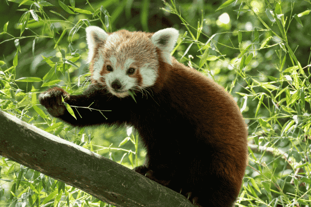 Tanggung Jawab Siapa Sebenarnya