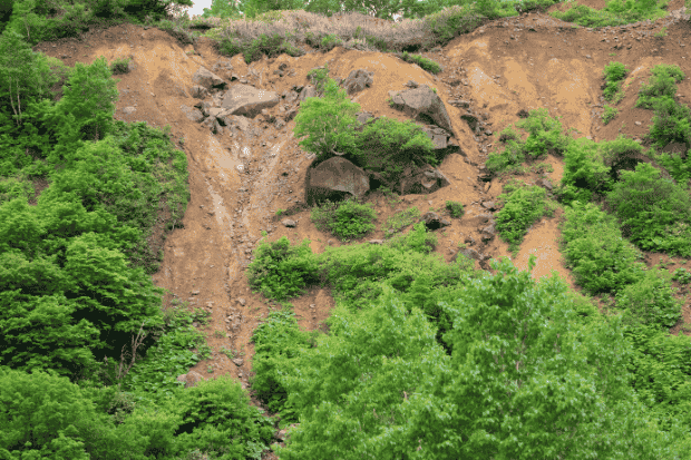 Upaya Penanganan dan Himbauan Penting