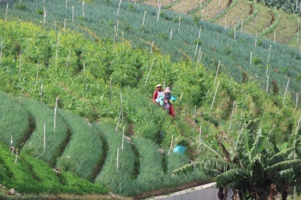 Agrowisata Edukatif Cocok Untuk Semua Kalangan