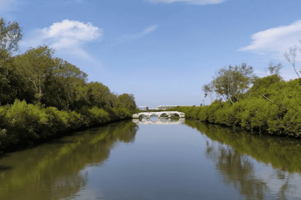 Aktivitas Seru yang Bisa Kamu Lakukan