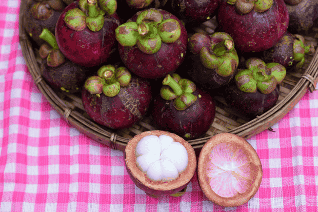 Cara Mengembangkan Usaha Manggis Cara Mengembangkan Usaha Manggis