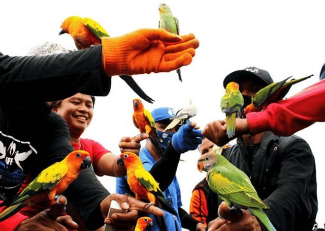 Di Balik Kicauan, Hangatnya Kebersamaan Komunitas Pecinta Burung