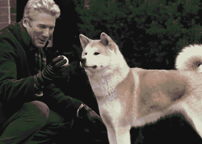 Kesetiaan Anjing Hachiko yang Mengajarkan Arti Cinta Tanpa Syarat