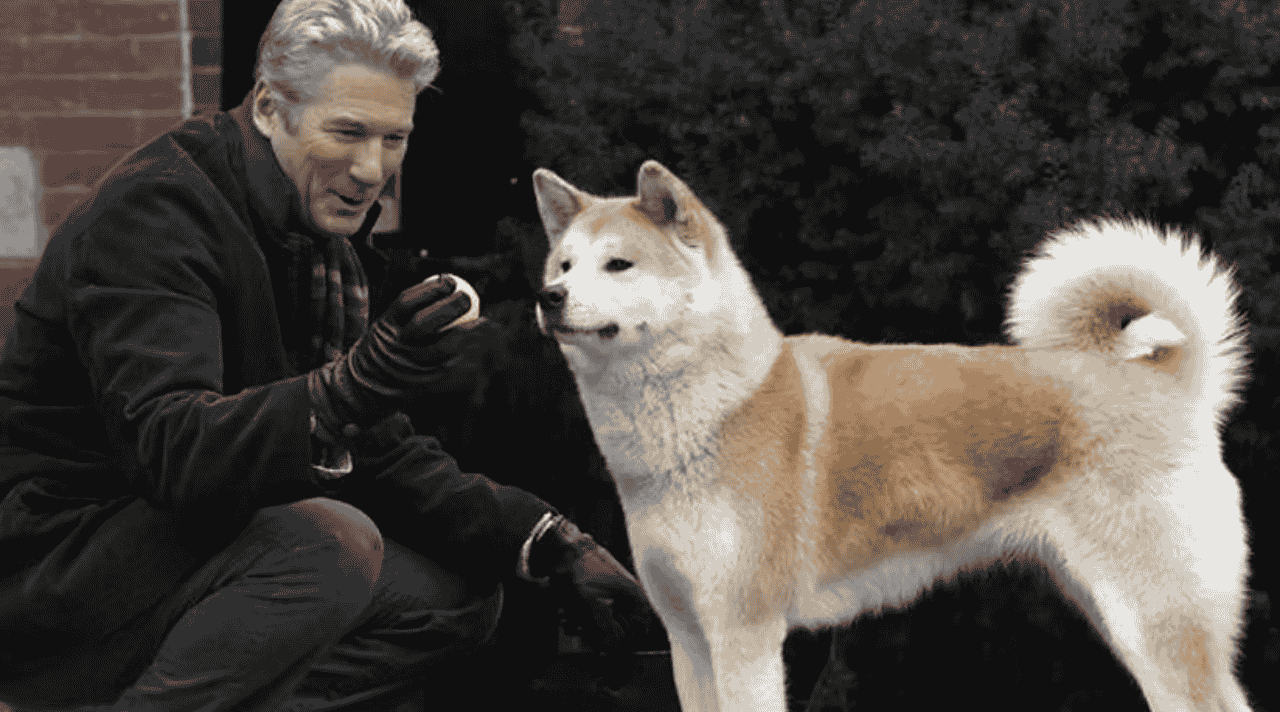 Kesetiaan Anjing Hachiko yang Mengajarkan Arti Cinta Tanpa Syarat