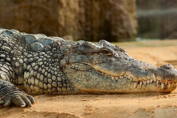 Masyarakat Menyebarkan Mitos Secara Turun-Temurun