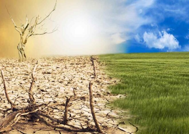 Opini tentang perubahan iklim dan tanggung jawab kamu hari ini