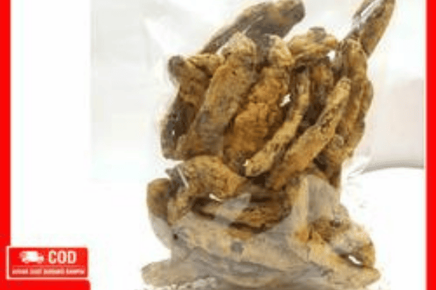 Asal Usul dan Keunikan Kripik Tenggeleng Cilacap