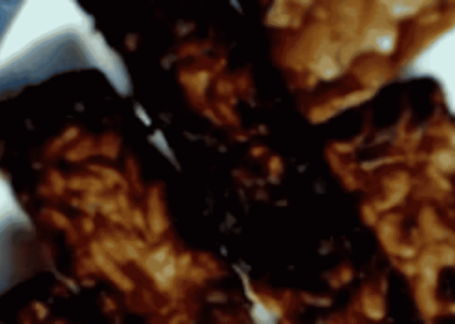 Tempe Gosong Rasa Sederhana yang Punya Cerita Panjang