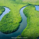 sungai yang ada ikan piranha