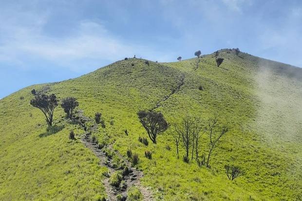 Jalur sabana di Mount Merbabu