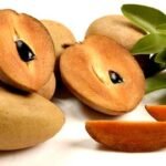 Buah Sawo yang Manis dengan Banyak Nutrisi dan Manfaat