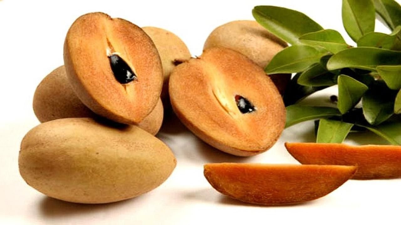 Buah Sawo yang Manis dengan Banyak Nutrisi dan Manfaat