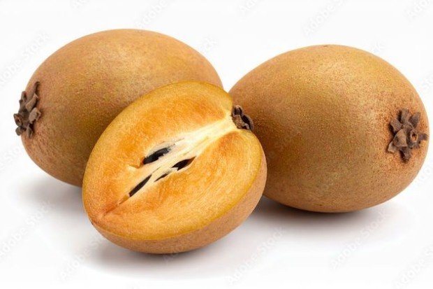 Kandungan Nutrisi Buah Sawo