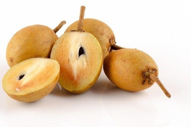 Manfaat Buah Sawo untuk Kesehatan