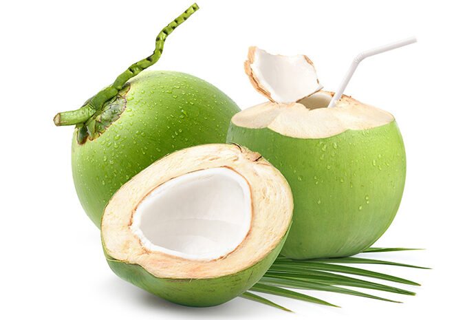 MENGENAL BUAH KELAPA