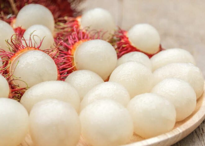 MENGENAL BUAH RAMBUTAN