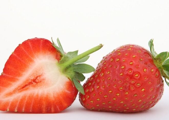 MANISNYA BUAH STROBERI