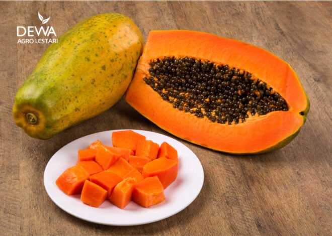 BUAH UNTUK JAGA KESEHATAN BUAH PEPAYA
