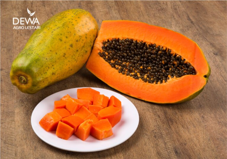 pepaya buah segar dan manis