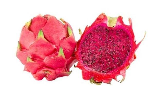 buah merah buah manis