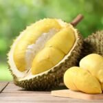 dijuluki raja buah