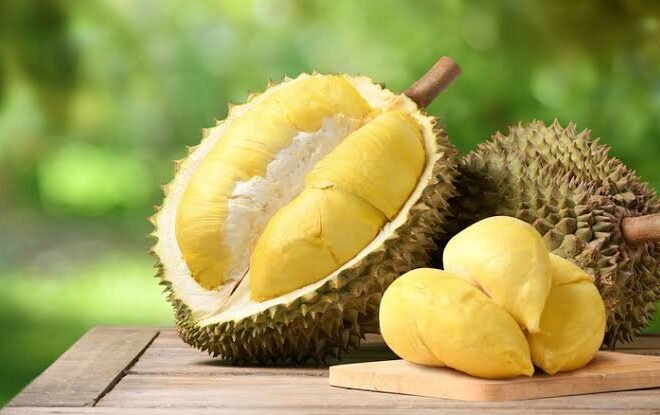 RASA DARI BUAH DURIAN