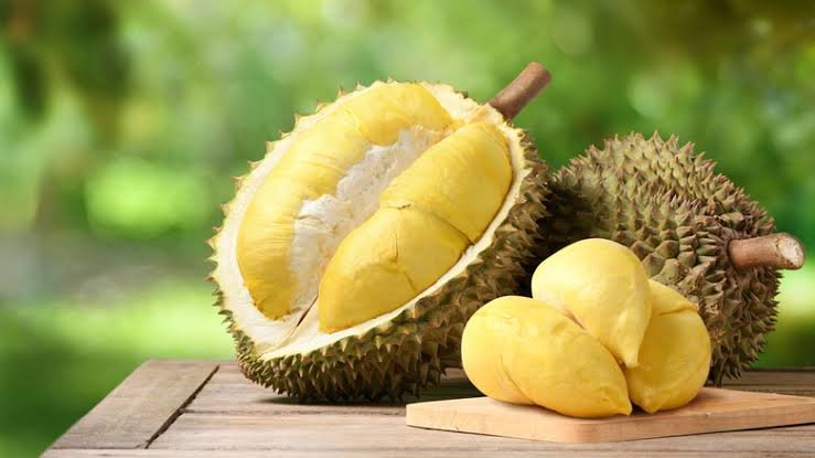 dijuluki raja buah
