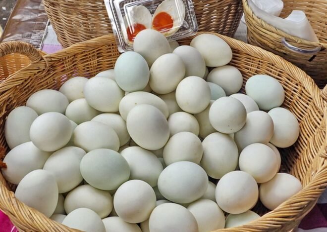 KANDUNGAN RASA TELUR BEBEK