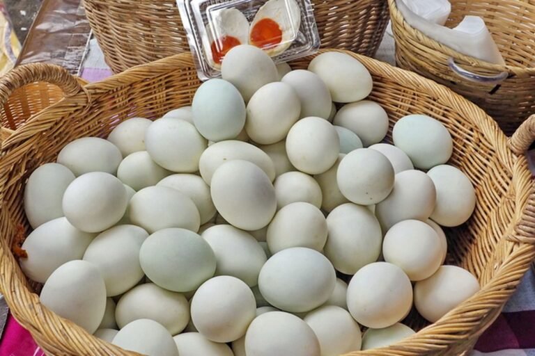 telur yang sehat tapi konsumsi harus teratur