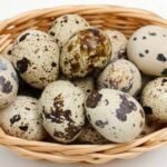 telur yabg bermanfaat untuk gizi bayi