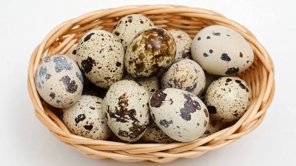 telur yabg bermanfaat untuk gizi bayi